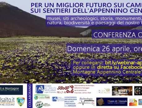 Webinar del 26 aprile 2020