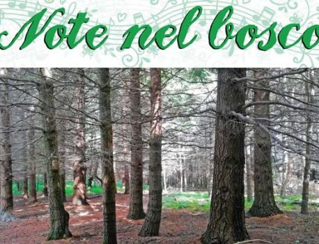 Note nel bosco